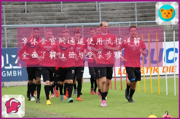 华体会官网通道使用流程详解——全面了解注册与登录步骤